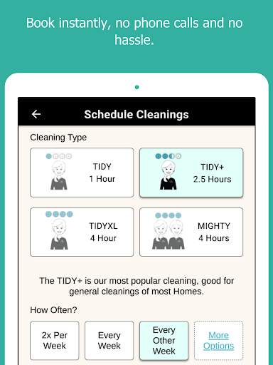 TIDY - Cleaning & Maintenance скриншот 1