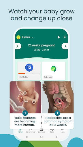 Pregnancy App & Baby Tracker screenshot 2