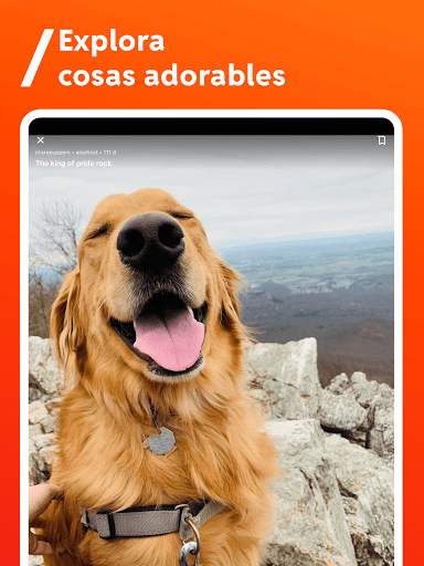Reddit screenshot 4