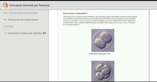 Grossesse Semaine par Semaine screenshot 4