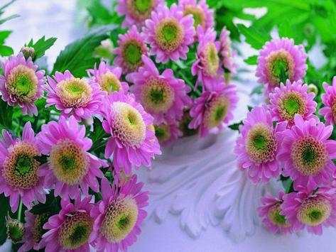 3D Flower Backround Wallpapers screenshot 2