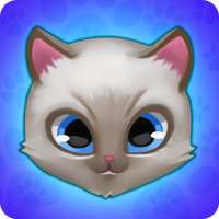 Cat Flat