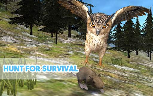 Wild Owl Simulator 3D screenshot 2