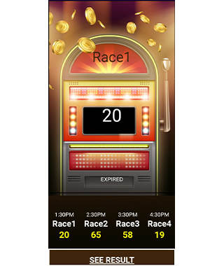 Race Satta King screenshot 1
