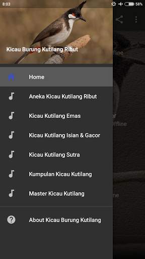 Suara Burung Kutilang Ribut screenshot 6