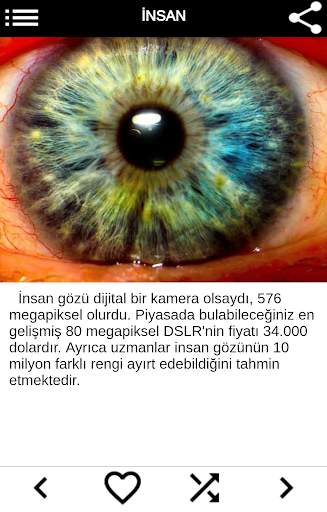 İlginç Bilgiler Kütüphanesi screenshot 1