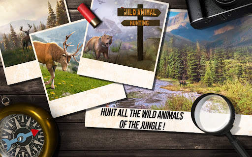 Deer Hunting : Sniper Hunter screenshot 8