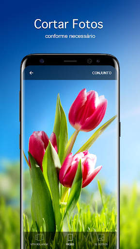 Papéis de parede com tulipa 4K screenshot 3
