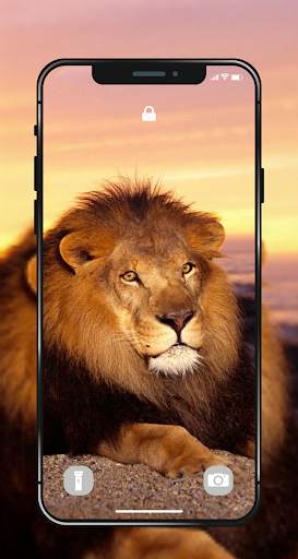 🐯 Lion Wallpapers - Angry 4K | HD Lion Pictures ❤ screenshot 5