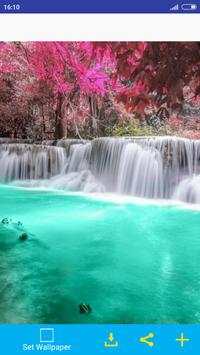 Nature Images For DP 1 تصوير الشاشة