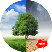 Clima en Chile Gratis icon