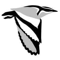 Birds of Africa on 9Apps