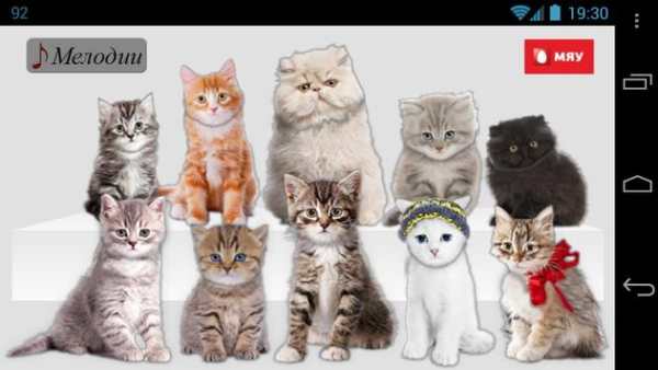 Meow Piano screenshot 1