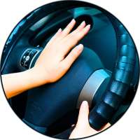 Car Horn Sounds
