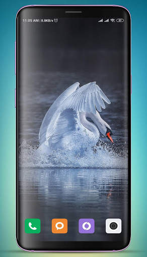 Swan Wallpaper screenshot 10