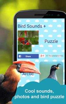 Bird Sounds Bird Puzzle - birds around the world screenshot 3