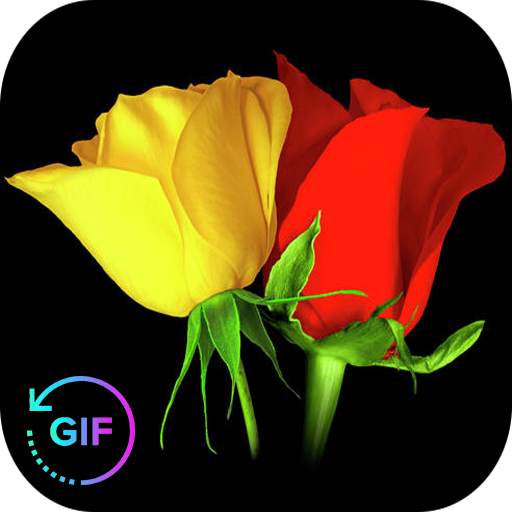 Flowers And Roses Animated Images Gif pictures 4K 8.1.6