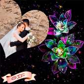 Love Romantic Photo Frames GIF 32.0