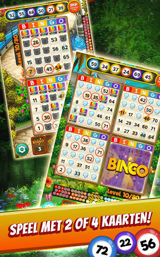 Bingo Quest Zomertuin Avontuur screenshot 5