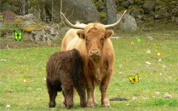 Wild Animals World screenshot 6
