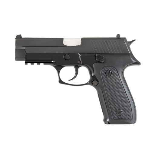 ikon Pistol simulator