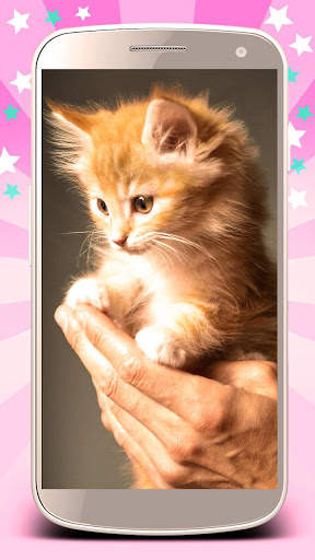 Cute cats live wallpaper. Cute dogs, unicorns screenshot 1
