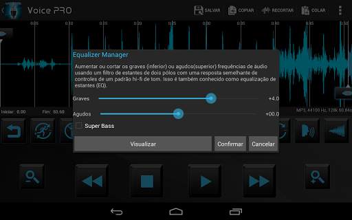 Voice PRO screenshot 2