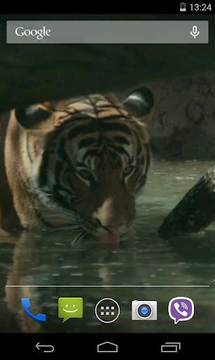 Tiger Video Live Wallpaper screenshot 1