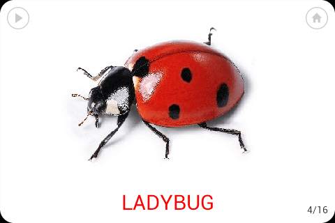 Little flash cards screenshot 6