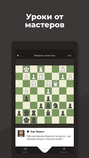 Шахматы · Играйте и учитесь скриншот 4