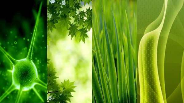 go green wallpaper screenshot 7