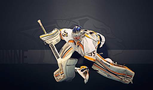 Hockey Wallpapers HD (backgrounds & themes) screenshot 9