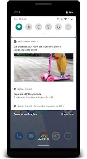 Video Hunter - Baixador de Vídeos screenshot 5