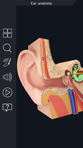 My Ear Anatomy screenshot 1