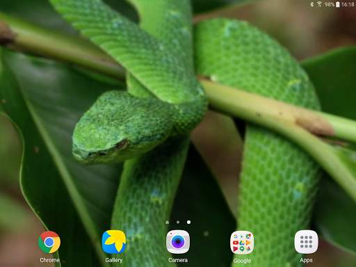 Snake Live Wallpaper screenshot 10
