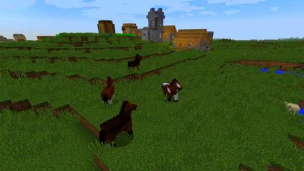 Seeds for Monecraft PE screenshot 2
