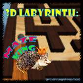 3D Labyrinth: Maze King logo
