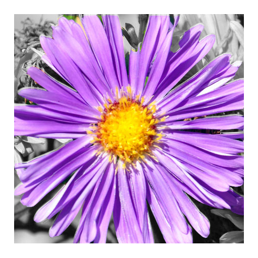 PhotoX icon