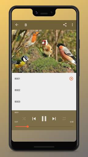 Bird Songs Ringtones screenshot 4