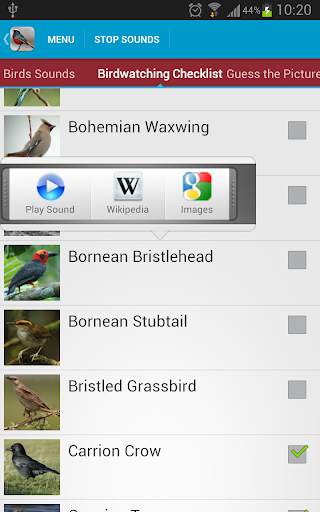 Asian Birds Sounds Free screenshot 3