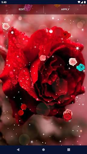 Red Rose Live Wallpaper screenshot 5