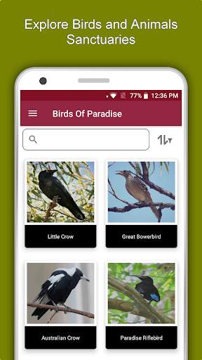 Australia Travel & Explore, Offline Tourist Guide screenshot 5