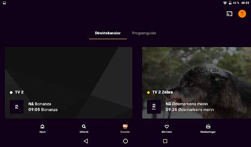 TV 2 Play screenshot 12