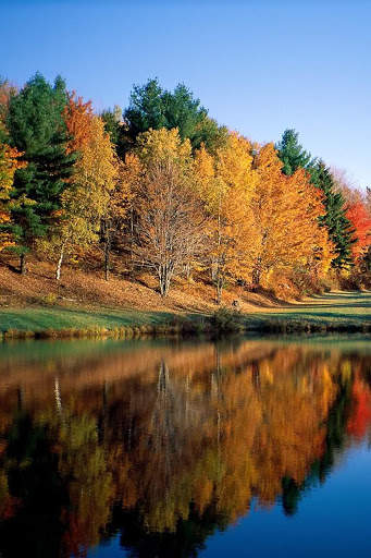 Autumn Wallpapers | hd backgrounds screenshot 7