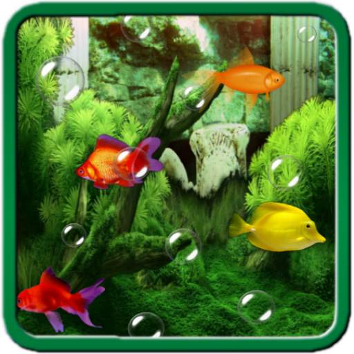 Aquarium Live Wallpaper 1.0.0