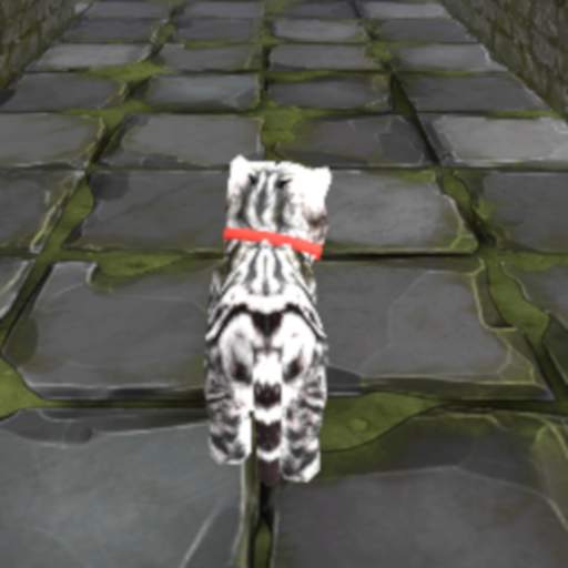 Cat Cat Maze 3D 1.0