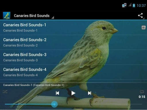 Canaries Bird Sounds स्क्रीनशॉट 3