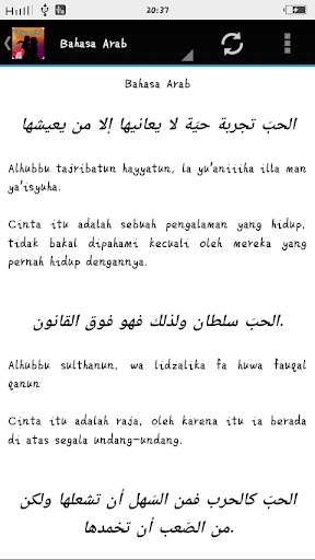 Kata kata Cinta Romantis 8 Bahasa screenshot 6