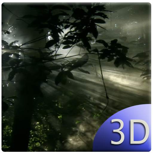 Rain Forest Live Wallpaper 1.1