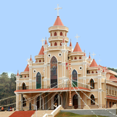 Pathicadu Pally icon